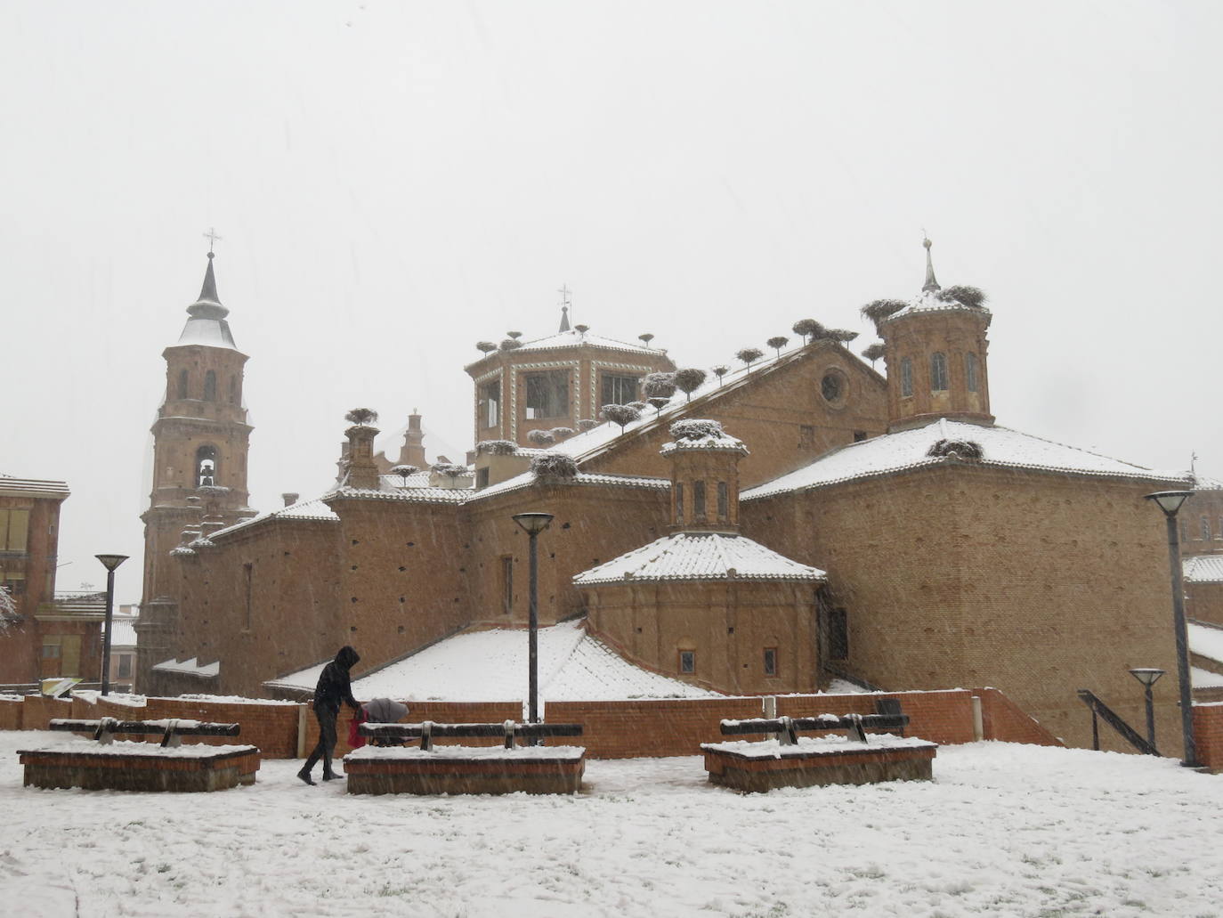 Fotos: Nevada en Alfaro