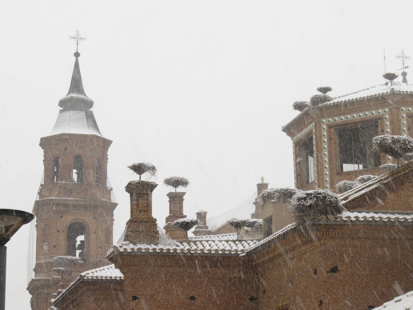 Fotos: Nevada en Alfaro