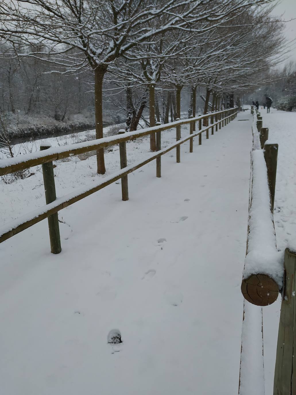 Fotos: La nieve también llega a Arnedo