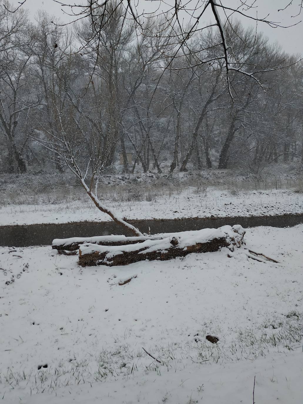 Fotos: La nieve también llega a Arnedo