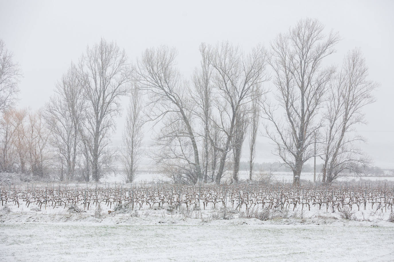 Fotos: Jornada de nieve en Uruñuela