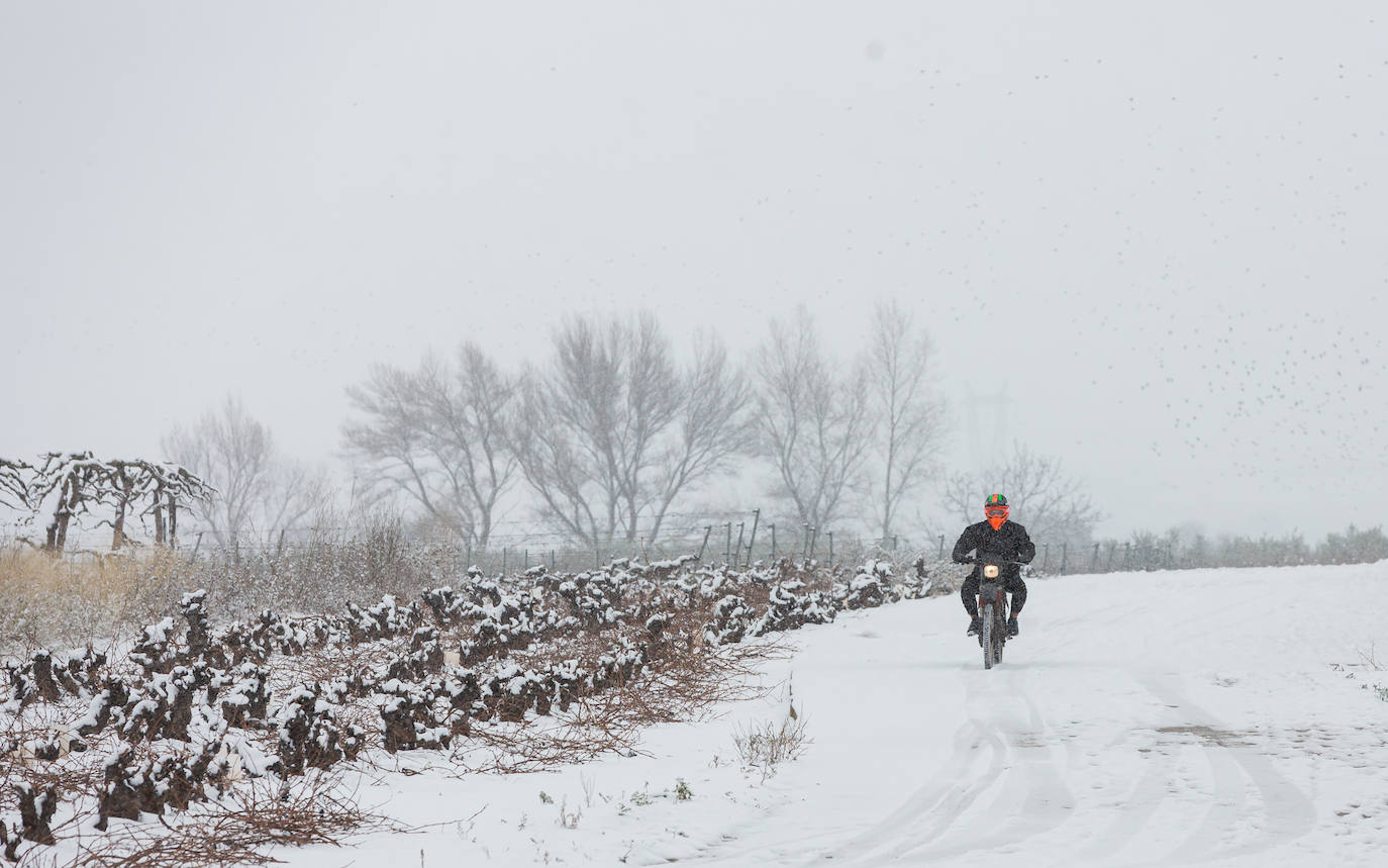 Fotos: Jornada de nieve en Uruñuela