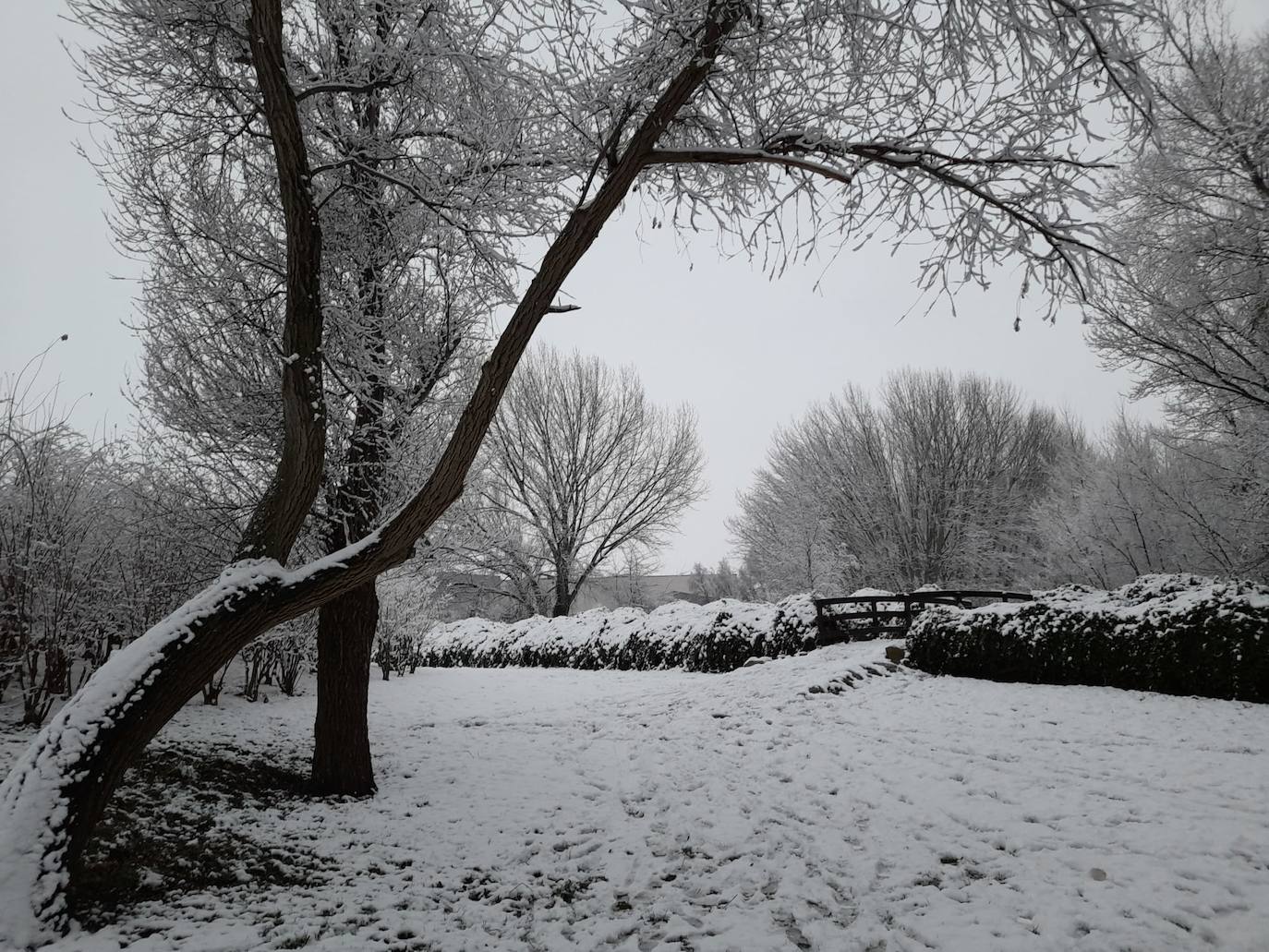 Fotos: La nieve &#039;toma&#039; el parque del Iregua