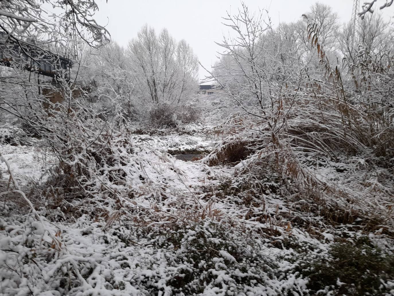 Fotos: La nieve &#039;toma&#039; el parque del Iregua