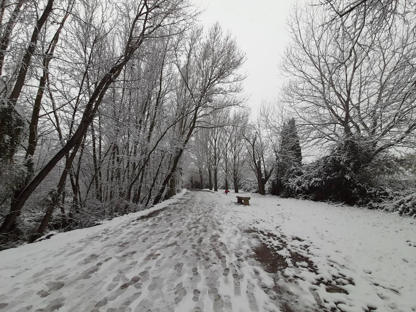 Fotos: La nieve &#039;toma&#039; el parque del Iregua