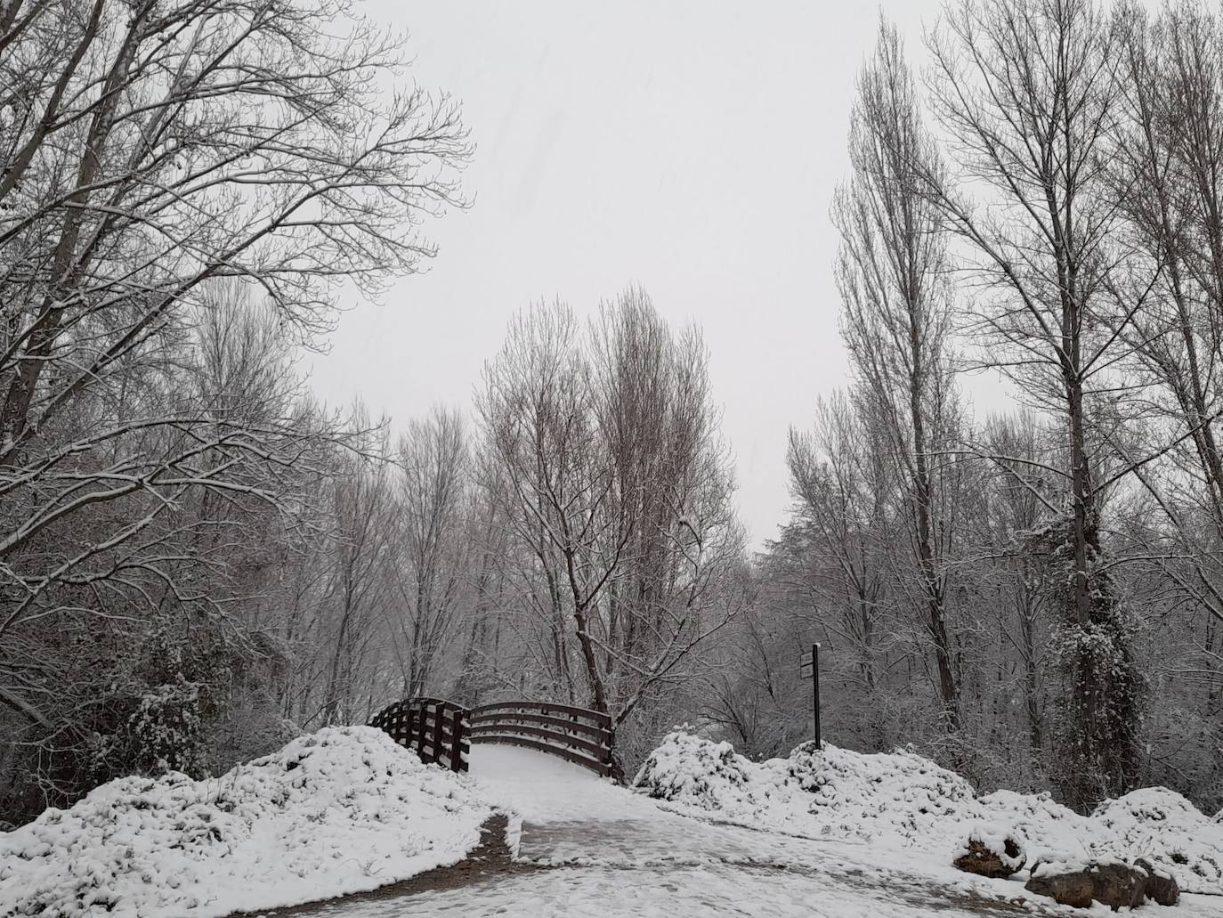 Fotos: La nieve &#039;toma&#039; el parque del Iregua