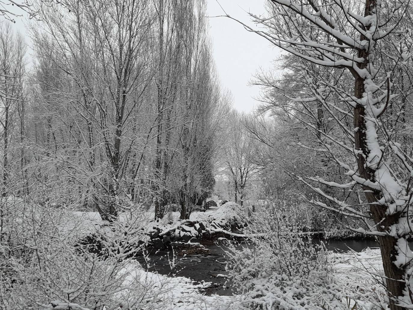 Fotos: La nieve &#039;toma&#039; el parque del Iregua