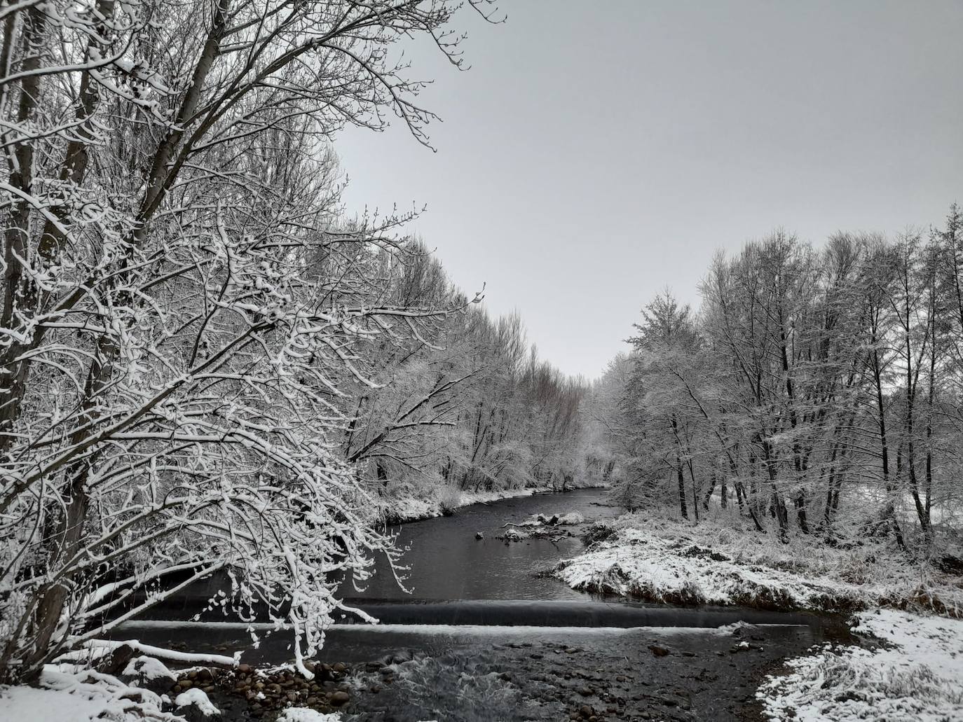 Fotos: La nieve &#039;toma&#039; el parque del Iregua