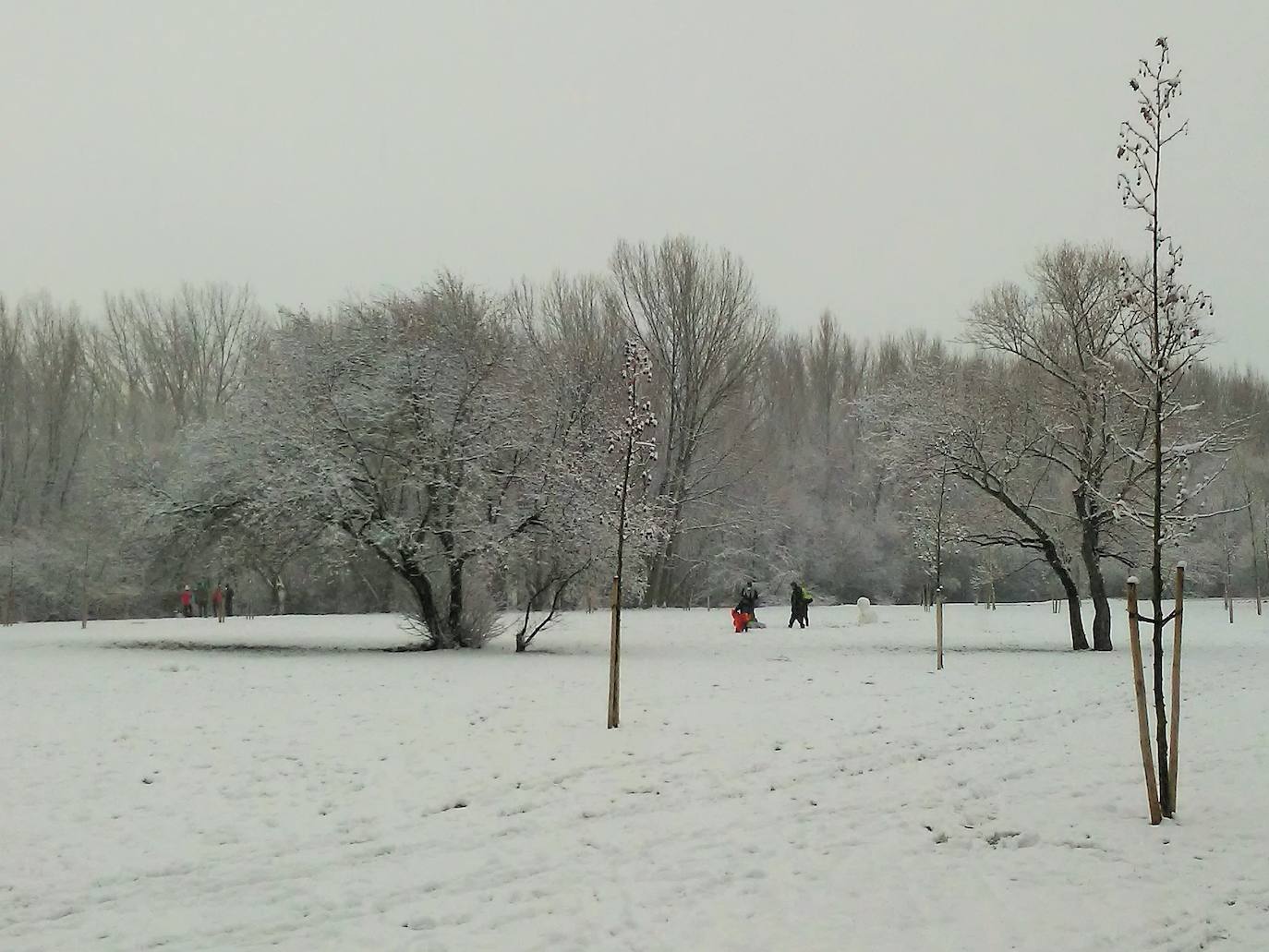 Fotos: La nieve &#039;toma&#039; el parque del Iregua