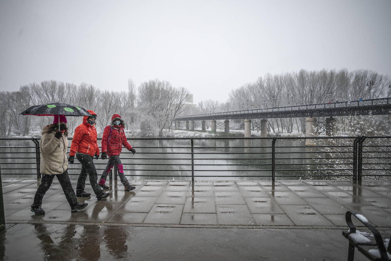 Fotos: La nieve cubre Logroño