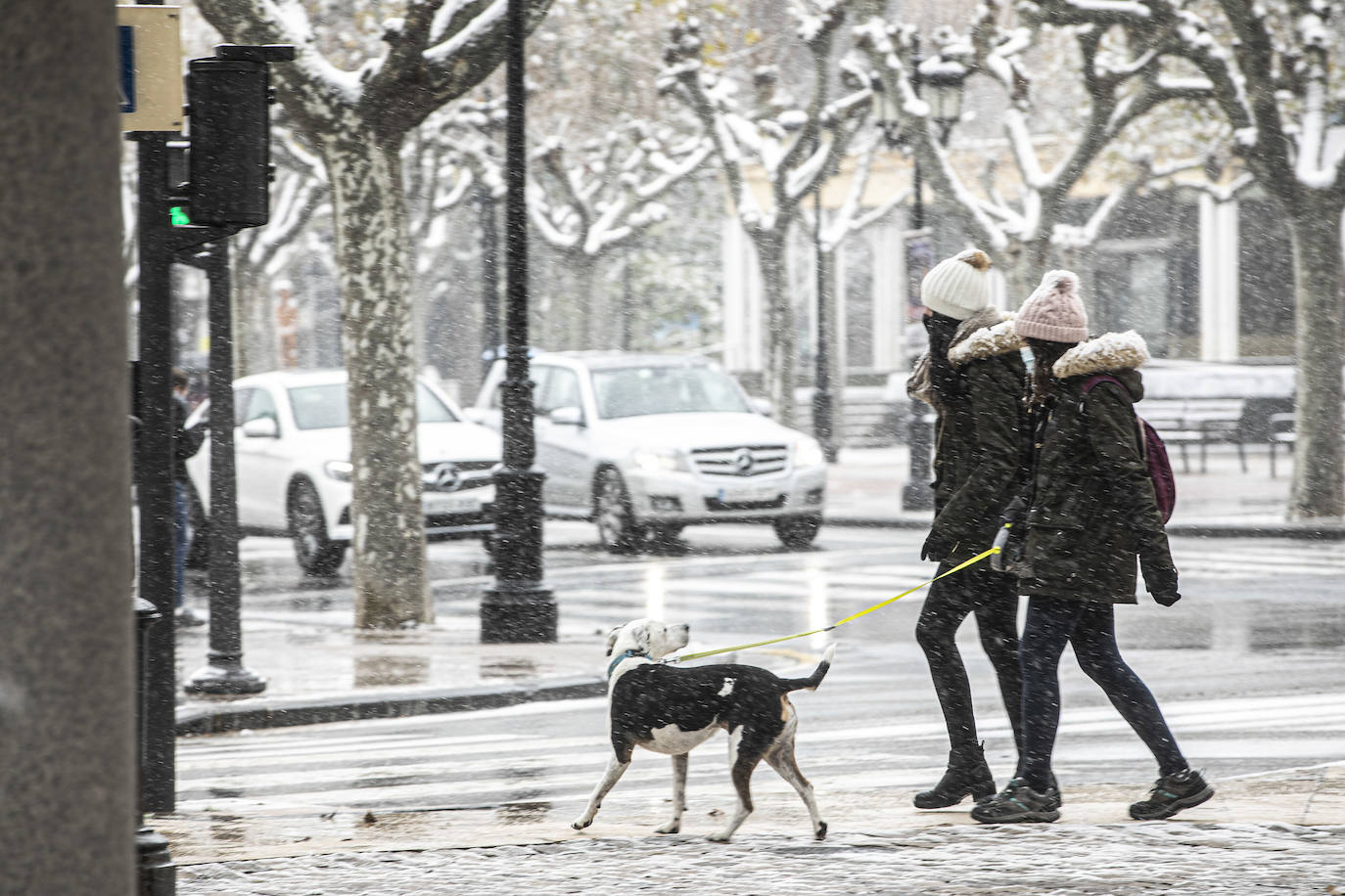 Fotos: La nieve cubre Logroño