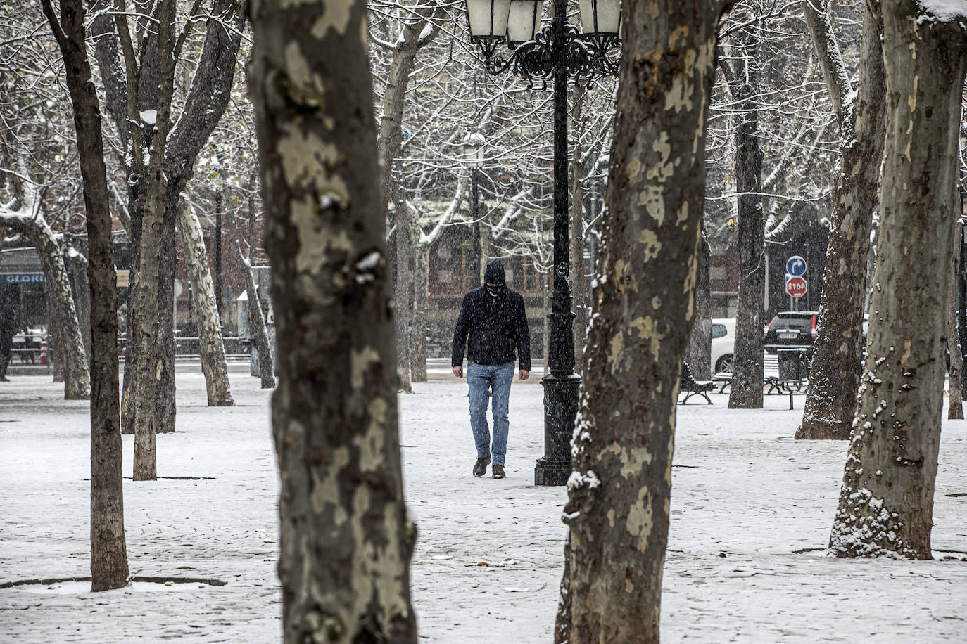 Fotos: La nieve cubre Logroño