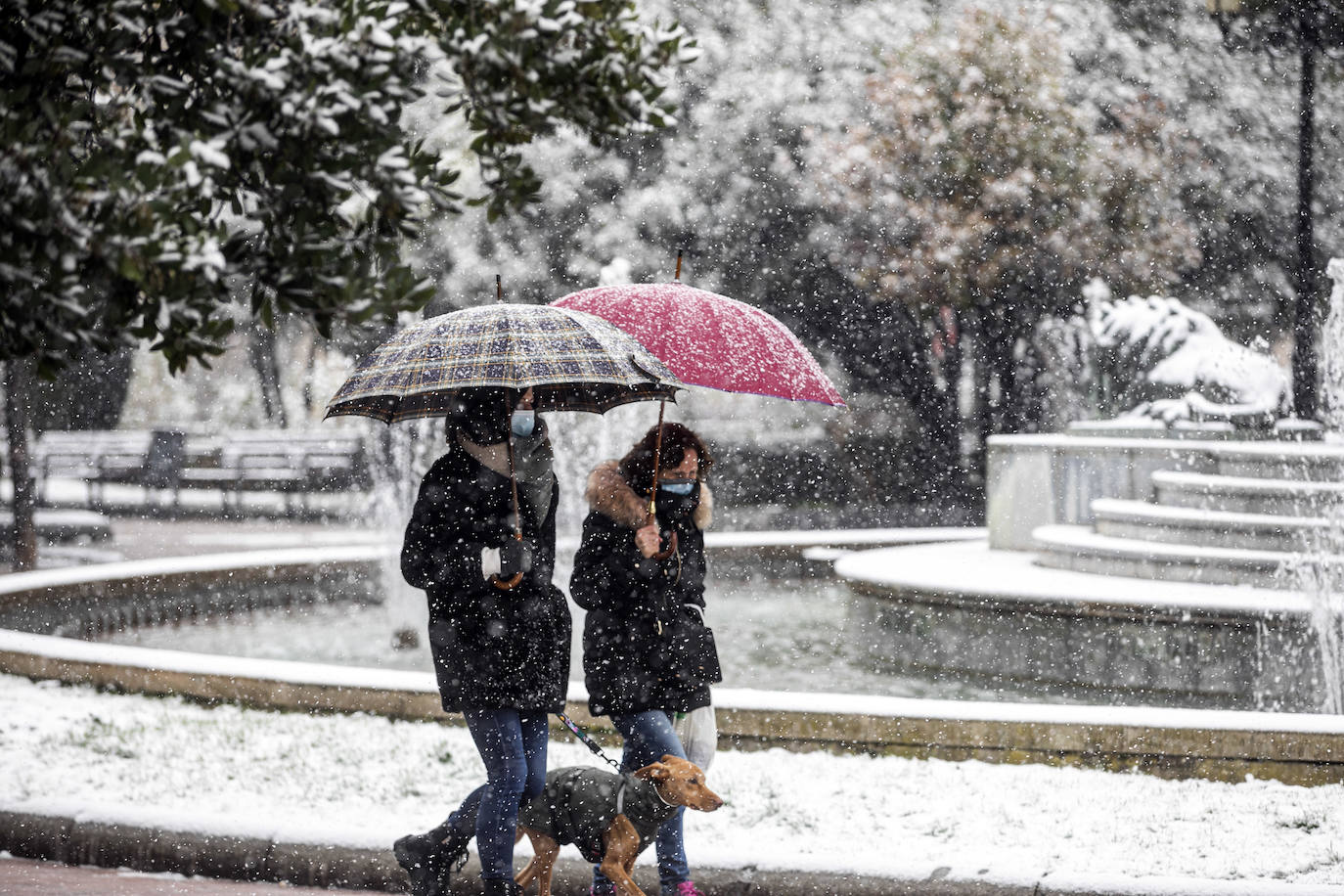 Fotos: La nieve cubre Logroño