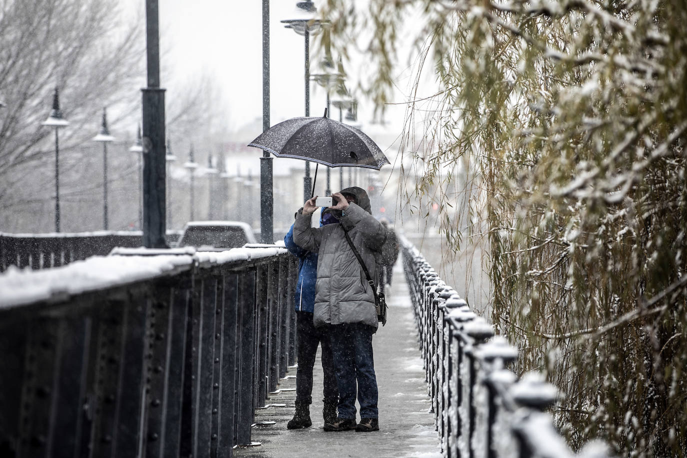 Fotos: La nieve cubre Logroño