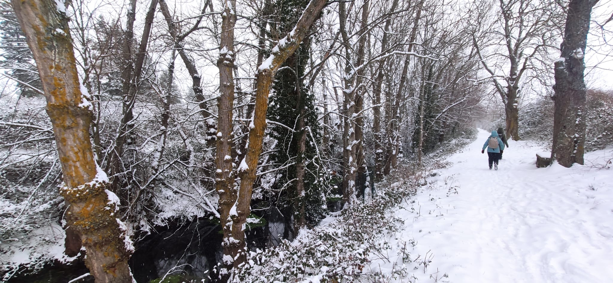 Fotos: Santo domingo se crubbre de nieve