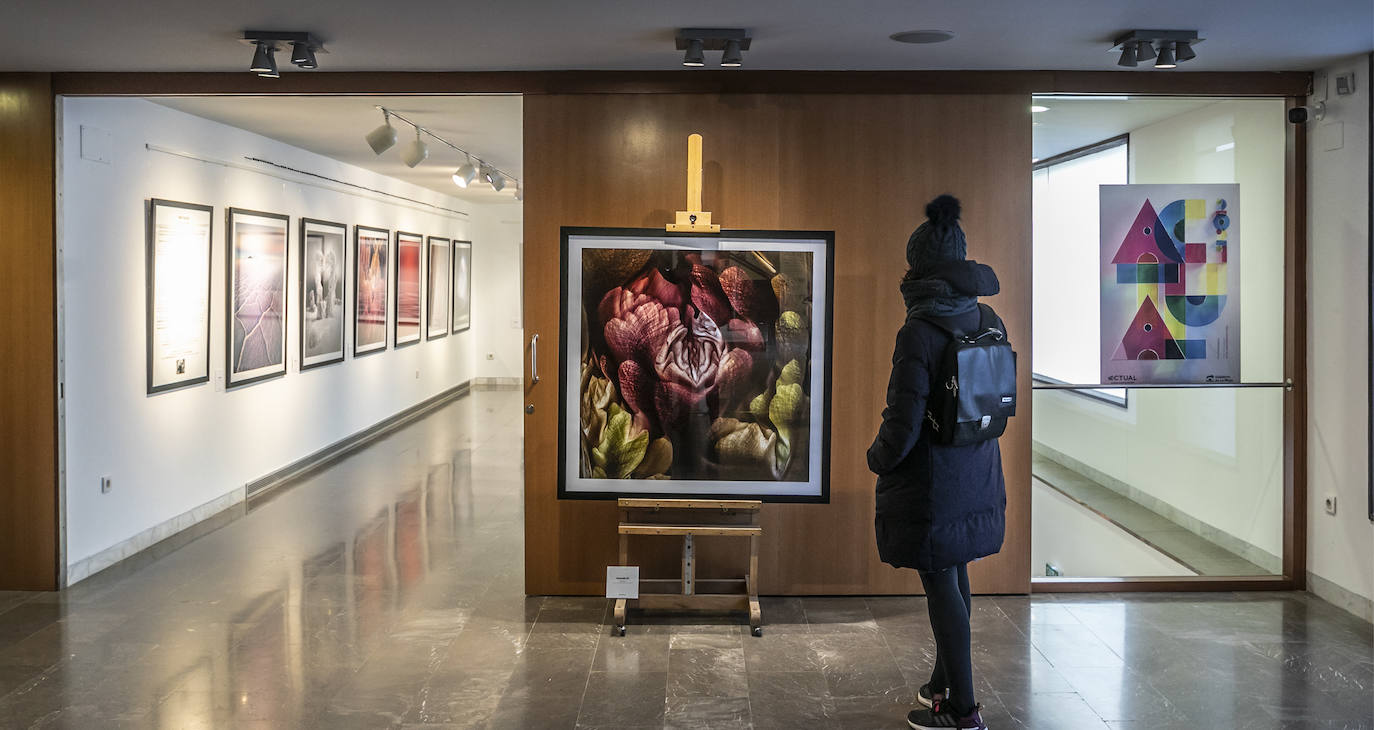 Fotos: Las exposiciones de &#039;Actual 2021&#039;