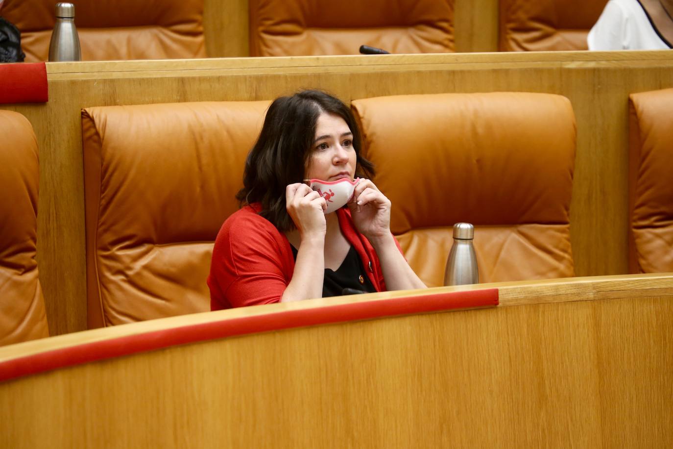 La consejera Raquel Romero en un pleno del Parlamento. 