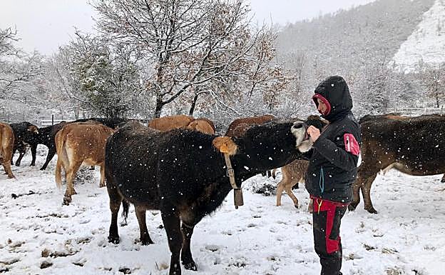 Imagen principal - Ajamil, esta mañana