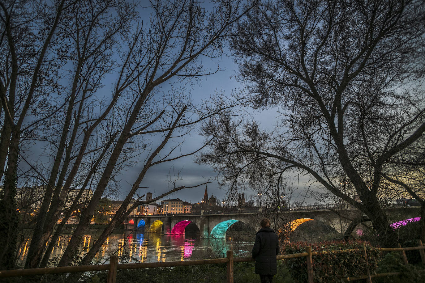 Además de las 16 farolas, esta noche se ha podido apreciar, y los logroñeses han inmortalizado este momento, las luces de colores en los ojos de la infraestructura