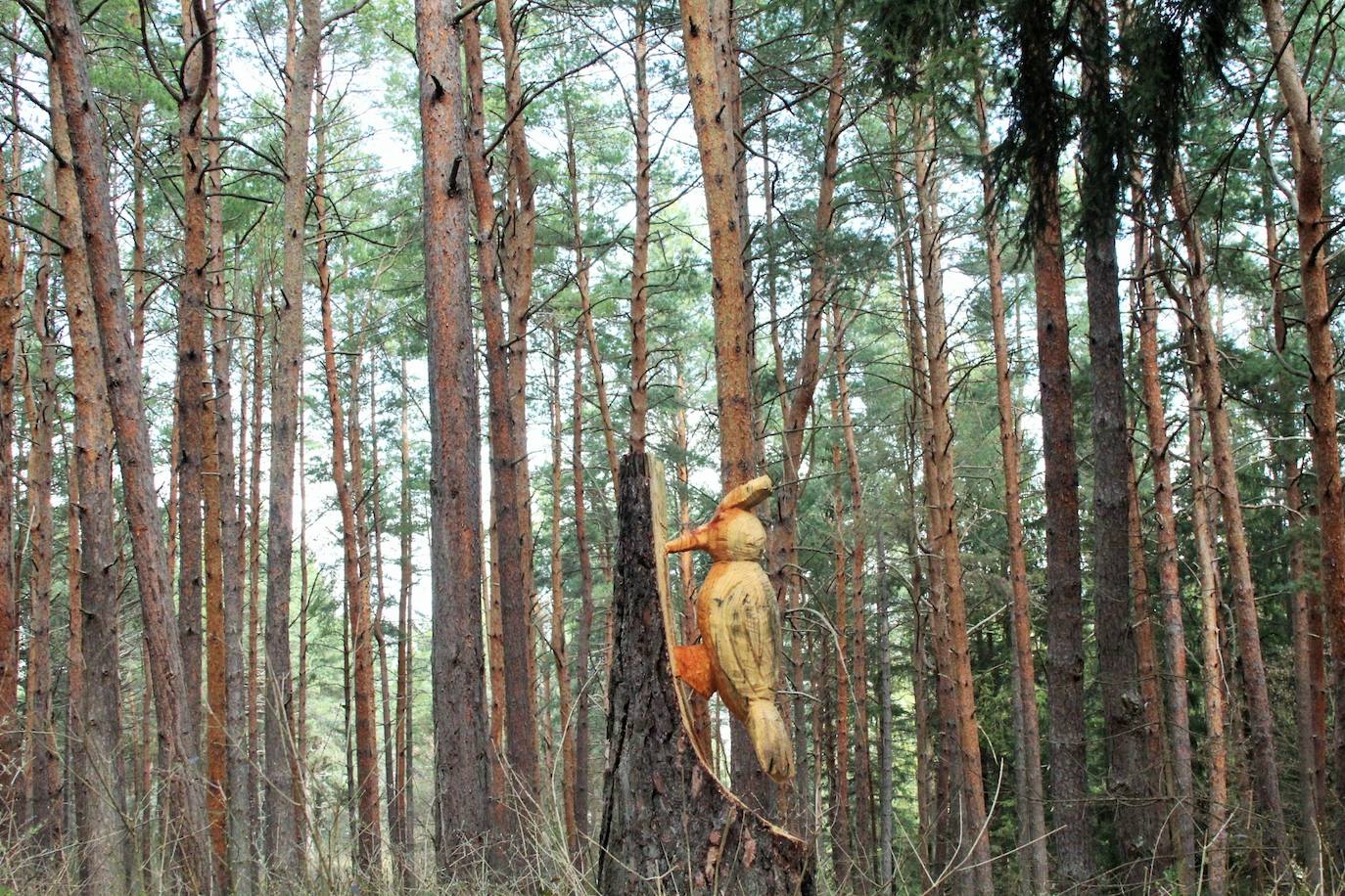 El espacio natural de Almarza de Cameros, repleto de bosques y senderos, flora y fauna, cuenta con nuevos alicientes para ser visitado