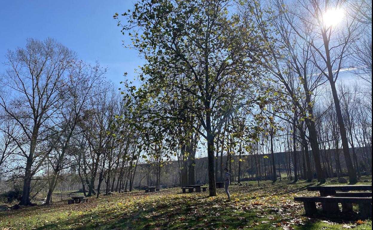 La recogida de residuos en el río Tirón se aplaza a primavera