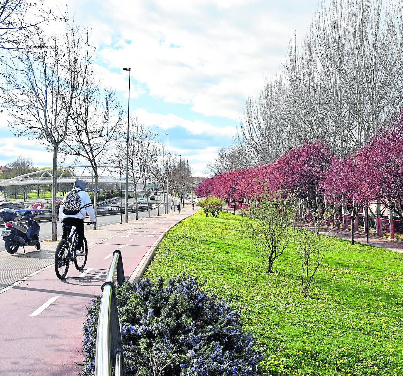 El Ayuntamiento trata de preservar un aspecto más natural en sus parques y jardines, evitando la intervención. 