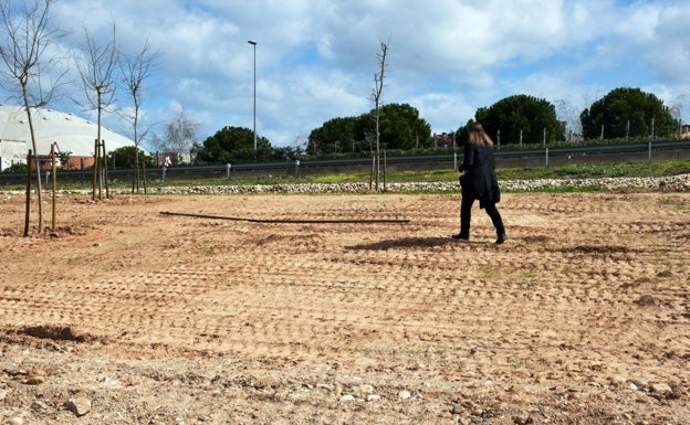 Juan Gispert, un parque que ni convence ni satisface