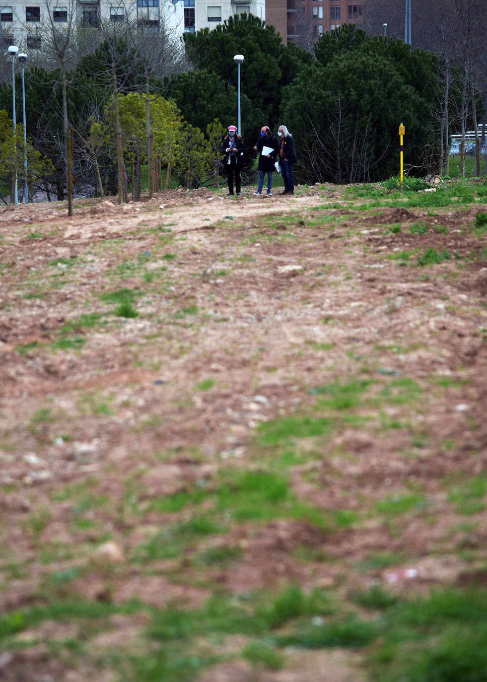 El Gobierno local pide paciencia para el desarrollo de la controvertida zona boscosa junto a la N-111 y, si sigue sin gustar, estudiará posibles mejoras