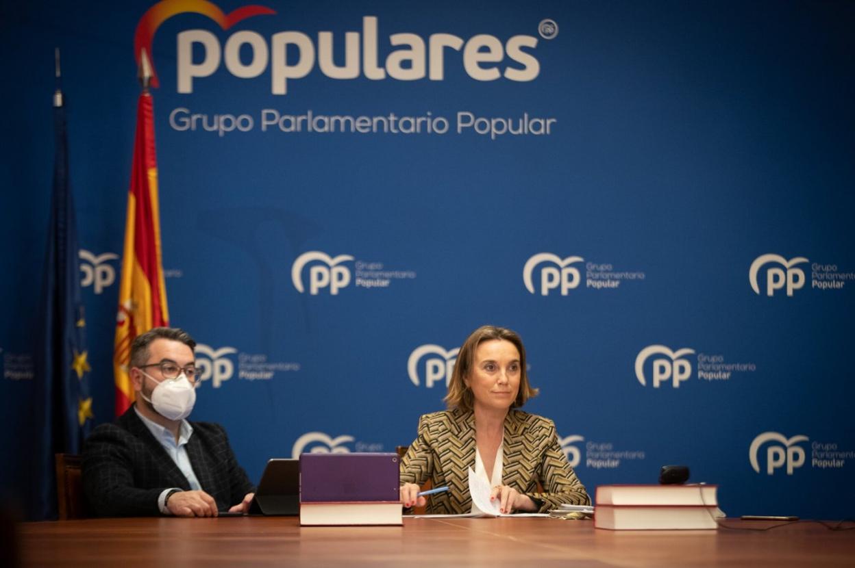 Javier Merino y Cuca Gamarra, ayer en su intervención telemática. 