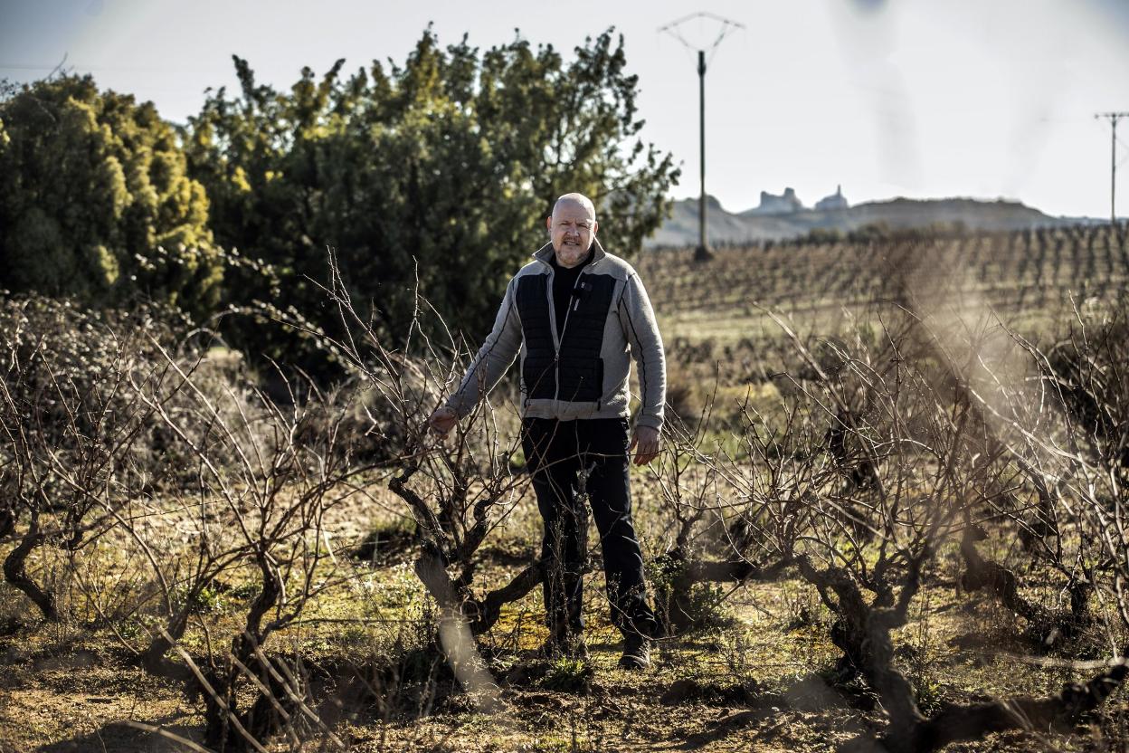 Ignacio Gil Oribe, en uno de sus viñedos. 
