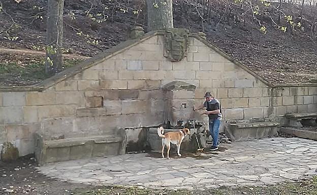 Fuente del Encino, en Varea. 