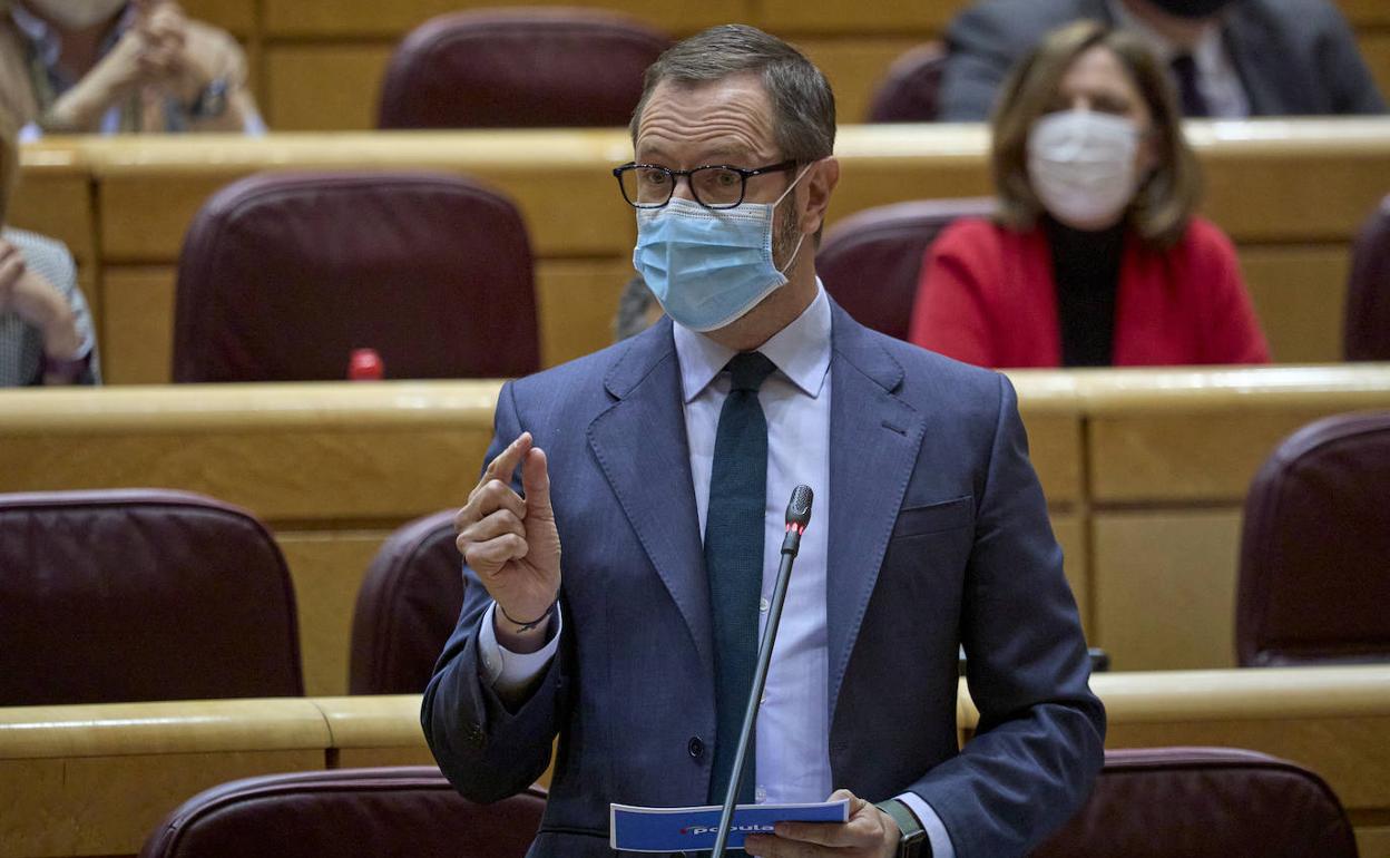 El portavoz popular en el Senado, Javier Maroto.