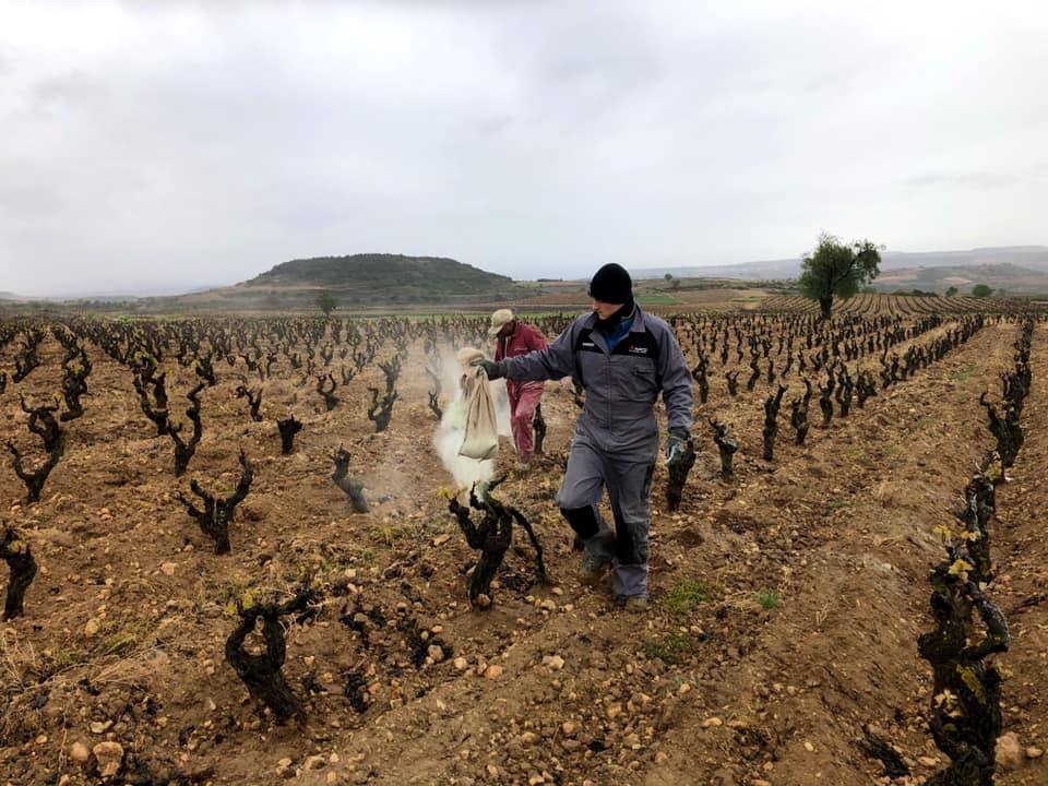 Preparados preventivos en Ábalos. Tom Puyaubert fue y volvió en el día a Burdeos a por un preparado preventivo de las cepas. De momento, pocos daños.