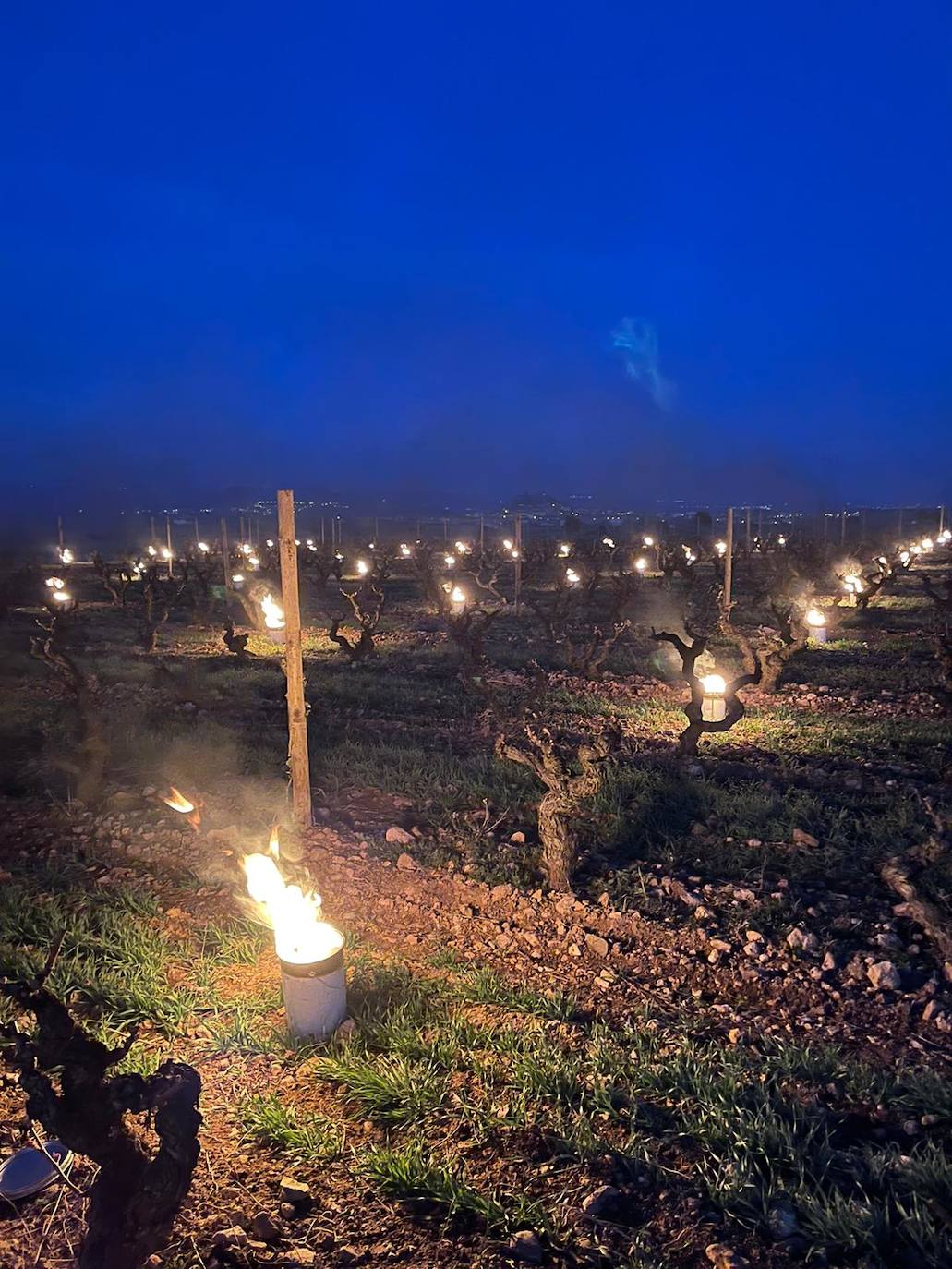 Velas de fuego en Bodegas Tierra, paja ardiendo entre los viñedos Artuke, tratamientos preventivos en Exopto..., espectaculares imágenes de una noche larga que, parece, se salva sin apenas daños