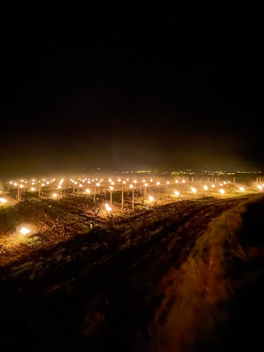 Velas de fuego en Bodegas Tierra, paja ardiendo entre los viñedos Artuke, tratamientos preventivos en Exopto..., espectaculares imágenes de una noche larga que, parece, se salva sin apenas daños