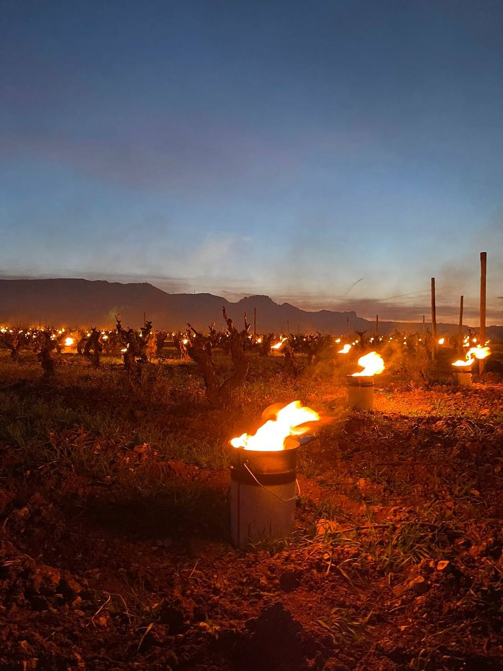 Velas de fuego en Bodegas Tierra, paja ardiendo entre los viñedos Artuke, tratamientos preventivos en Exopto..., espectaculares imágenes de una noche larga que, parece, se salva sin apenas daños