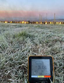 Imagen secundaria 2 - Arriba, los daños por hielo en una viña de San Vicente. Abajo a la izquierda, la temperatura de San Vicente a las 6 AM (0 grados), y, a la derecha la temperatura en San Vicente a las 7 AM (-3 grados)