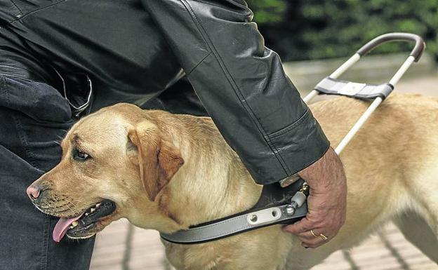 Rumi, junto a Antonio a punto de dar un paseo. 