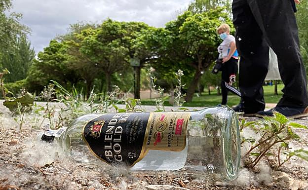 Restos del botellón de ayer en el parque del Ebro