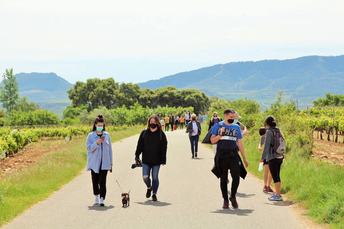 Fotos: Entrena celebra el Día de la Biodiversidad