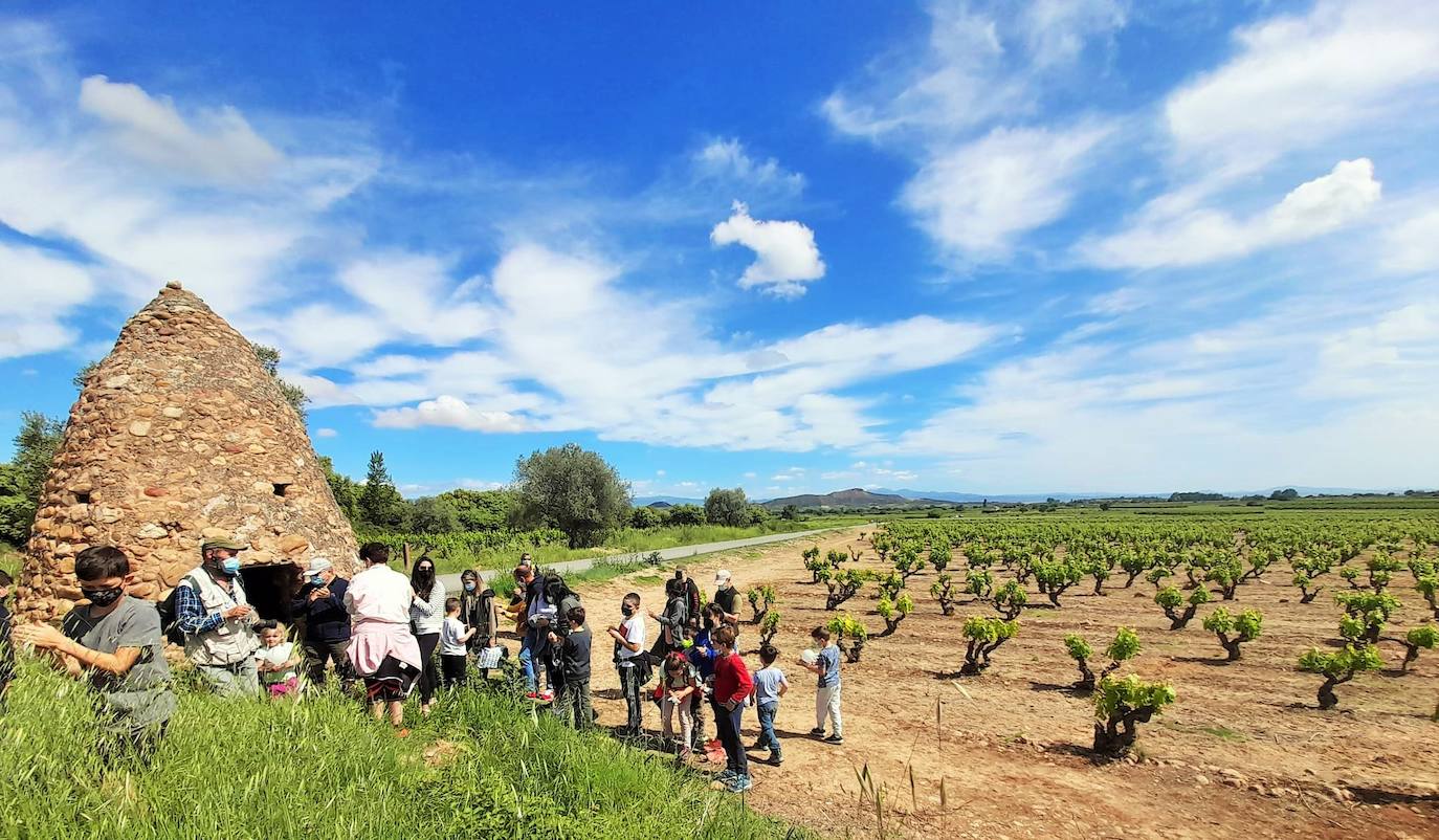 Fotos: Entrena celebra el Día de la Biodiversidad