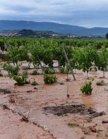 Imagen secundaria 2 - La tormenta maltrata Fuenmayor y deja calles, carreteras y viñedos inundados