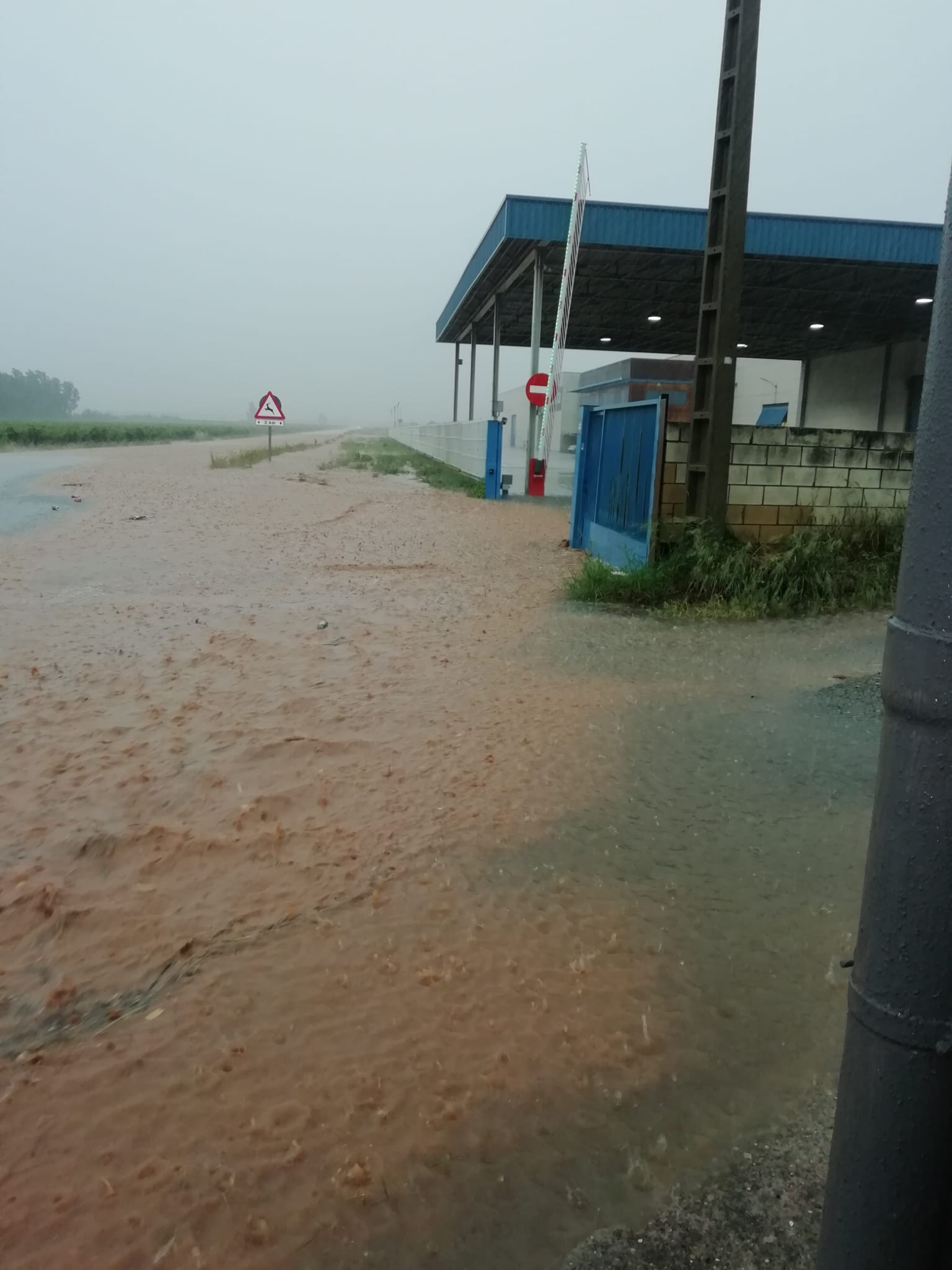 Fotos: Las imágenes de la tormenta en Fuenmayor