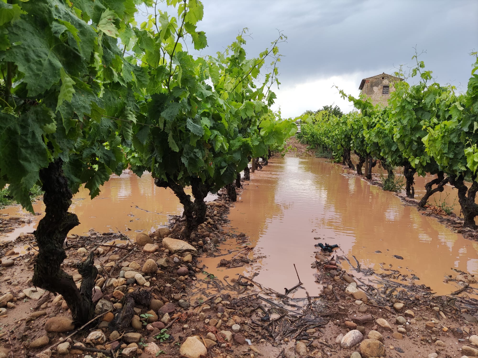 Fotos: Las imágenes de la tormenta en Fuenmayor