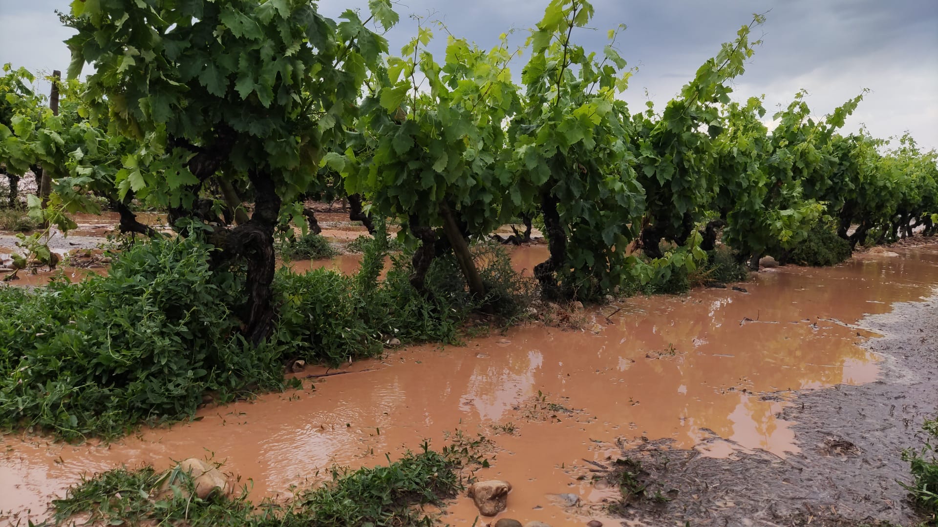 Fotos: Las imágenes de la tormenta en Fuenmayor