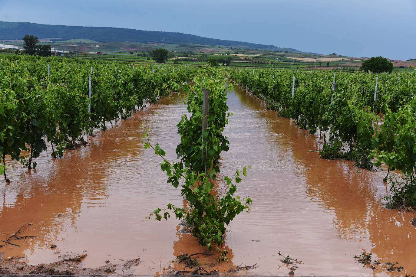 Fotos: Las imágenes de la tormenta en Fuenmayor