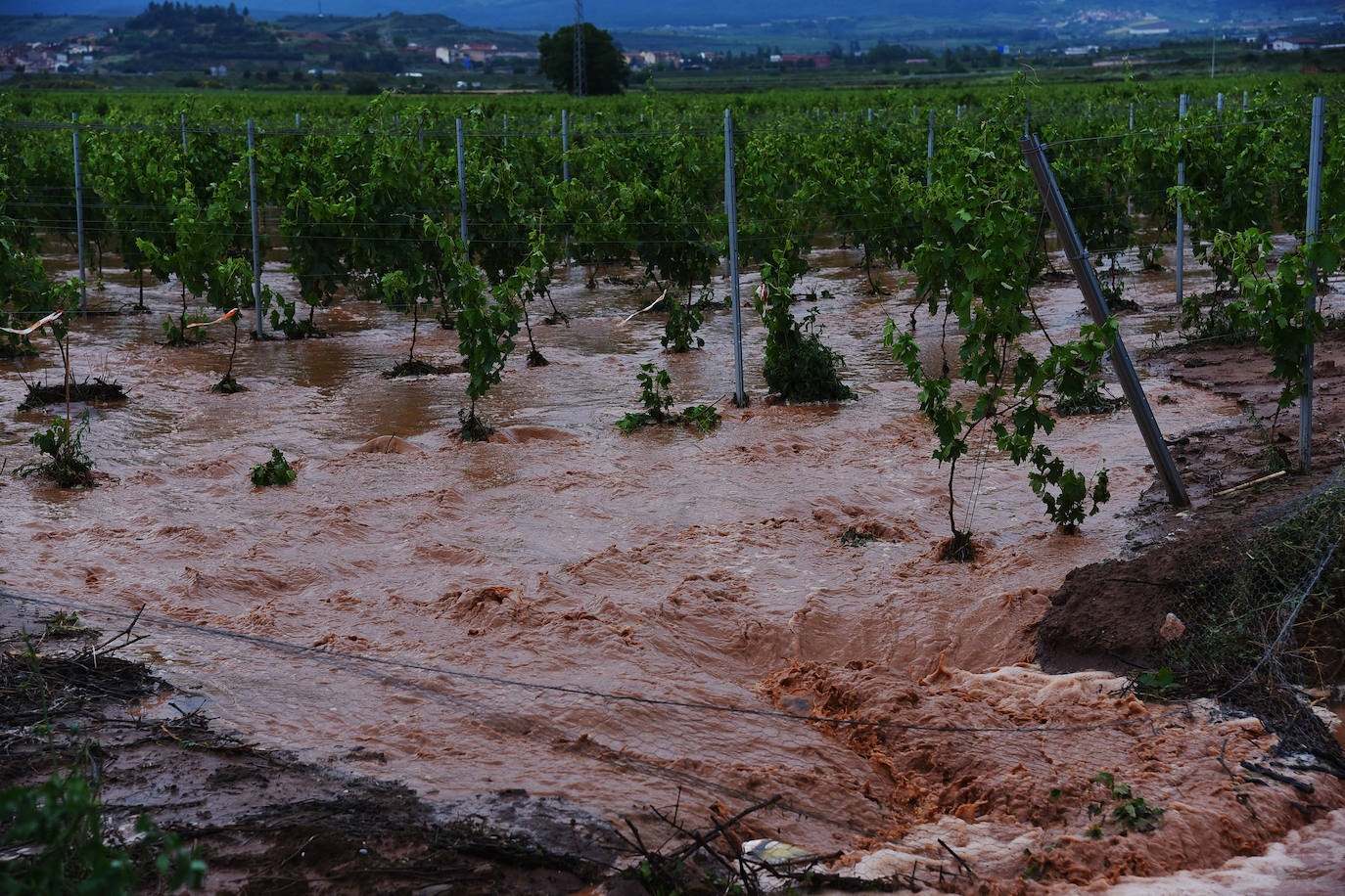 Fotos: Las imágenes de la tormenta en Fuenmayor