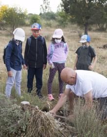 Imagen secundaria 2 - El club Sampol y el CEIP Hermosilla plantan cerca de 200 encinas en la ribera del Oja