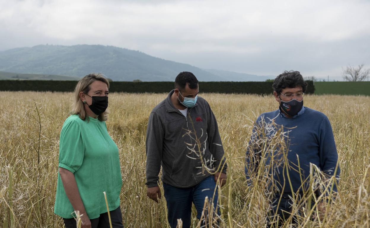 Un momento de la visita los campos dañados.