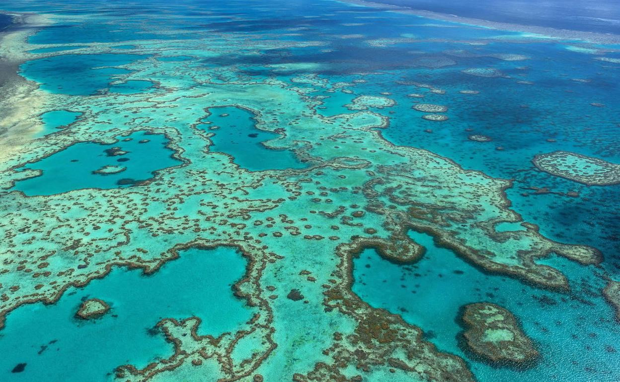 La Gran Barrera de Coral.